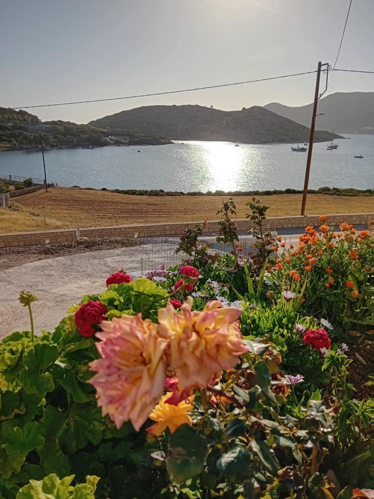 Aggeliki'S Apartments Lipszí Kültér fotó